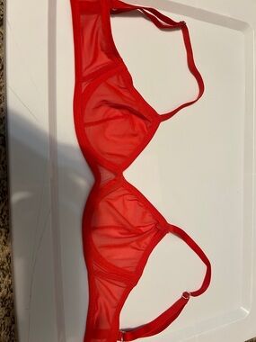 Sheer Red Mesh Underwire Bra